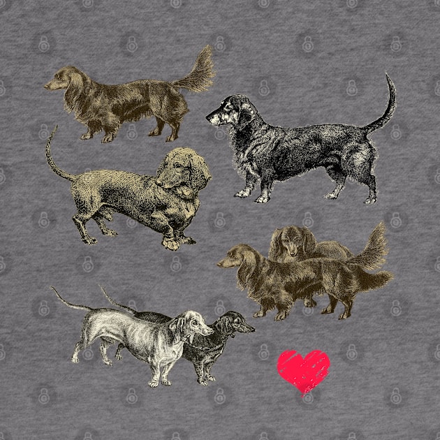 I LOVE DACHSHUNDS by Biophilia